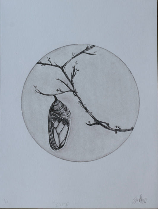 A monochrome artwork showing a butterfly wing or chrysalis hanging from a thin branch inside a large oval, rendered in dark gray on a light gray background.