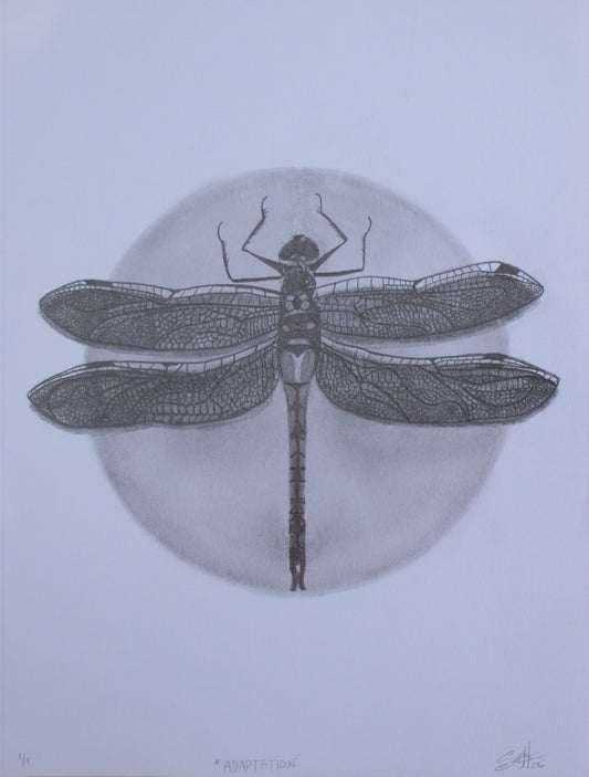 A monochrome dragonfly artwork centered over a pale circular form on a light gray background, with fine linework and shading throughout.
