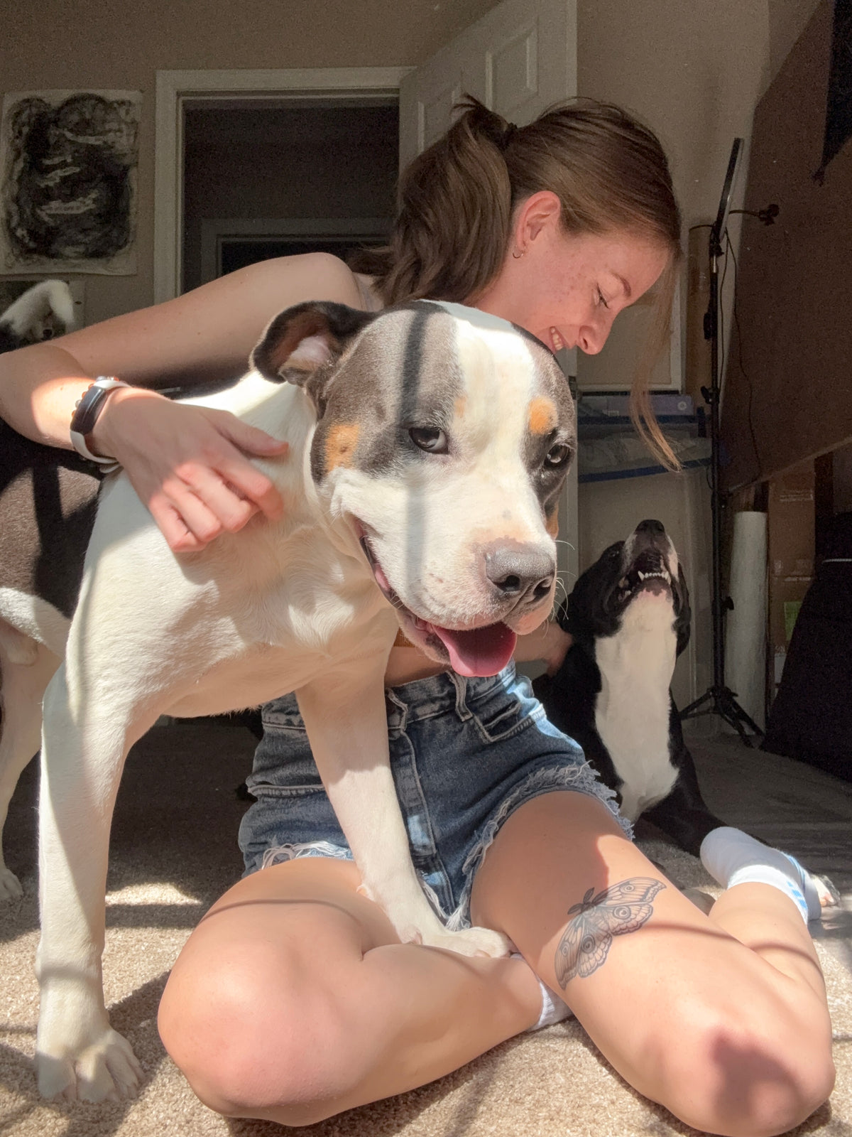 A woman sitting on a carpeted floor indoors, holding and petting a large white dog with gray and tan markings. A second black-and-white dog is visible in the background.