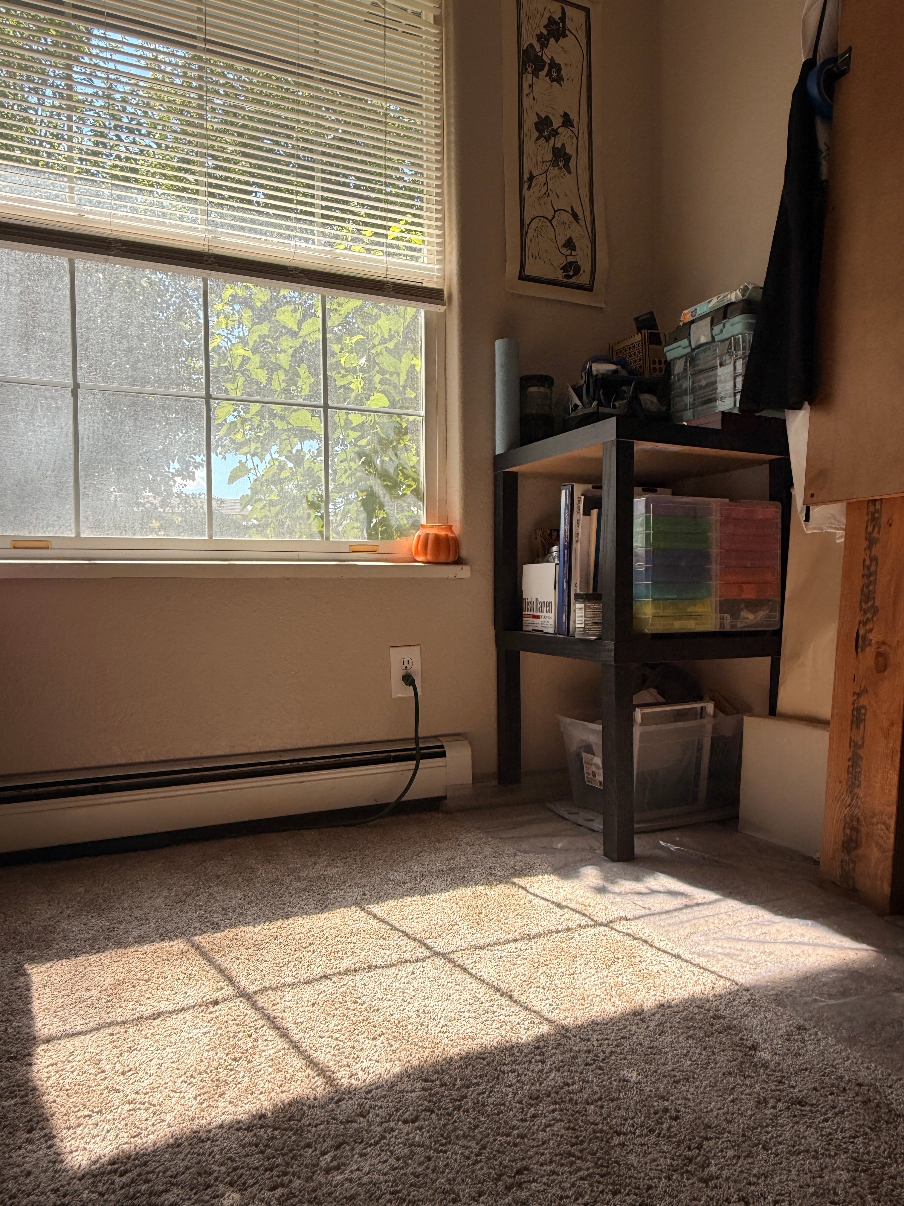 A dark wooden shelving unit in a home office or room, holding books, binders, and storage containers, with a window and carpet visible in sunlight.