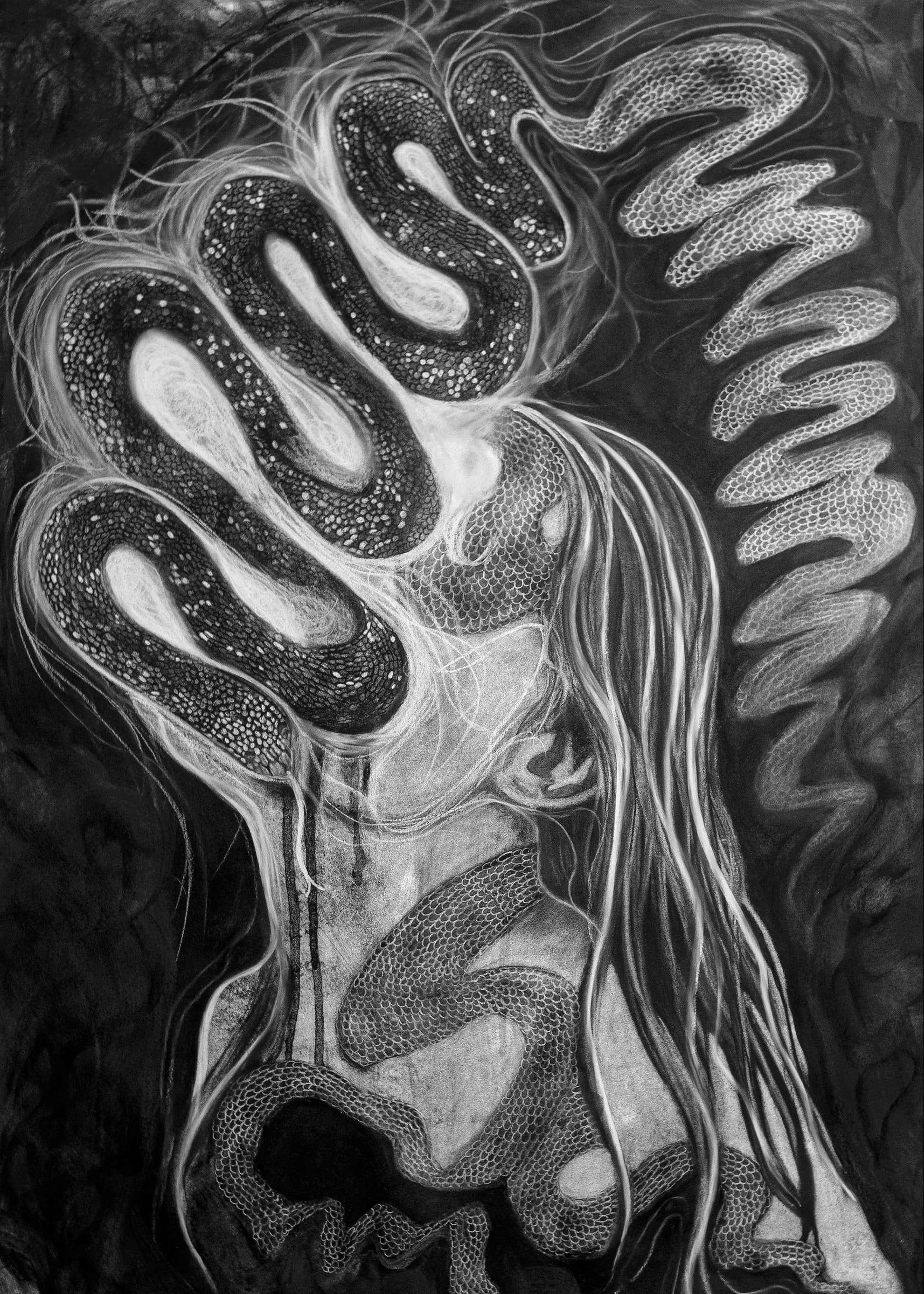 Black and white abstract artwork with flowing lines and patterns of a illuminated snake and its shedding skin. 